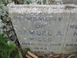 image of grave number 771282
